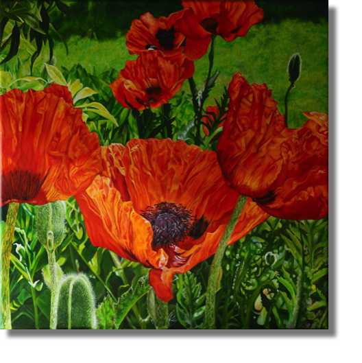 My Garden, Summer 2020
oil on canvas
51 x 51 cm